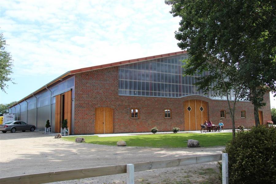 Bild der Galerie