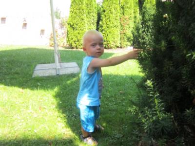 Foto des Albums: 80. Geb.Tag unserer "Oma" Regina Gimpl