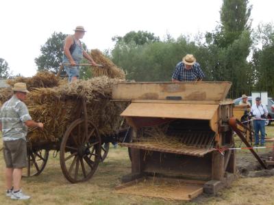 Foto des Albums: Dorf- und Erntefest in Bendelin (10. 08. 2015)