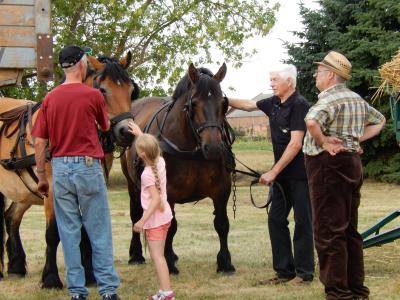 Foto des Albums: Dorf- und Erntefest in Bendelin (10. 08. 2015)