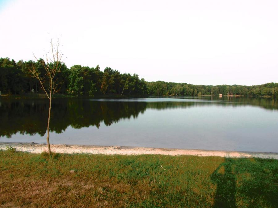 Bild: Waldbad Bornsdorf