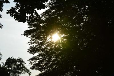 Foto des Albums: MDR Sommernachtsball in Eisfeld