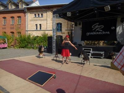 Foto des Albums: Heimatfest Ot Hoym 2015