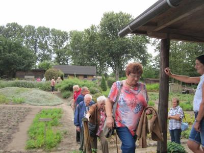 Foto des Albums: Seniorentreff Wilmersdorf