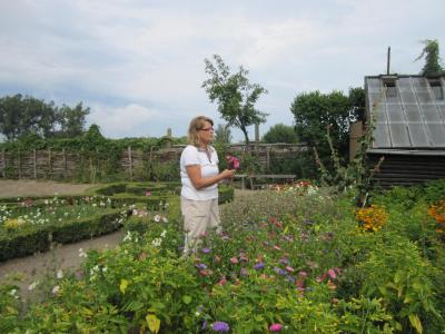 Foto des Albums: Seniorentreff Wilmersdorf