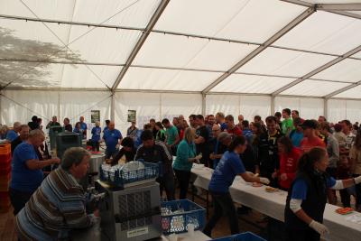 Foto des Albums: BJK 2015