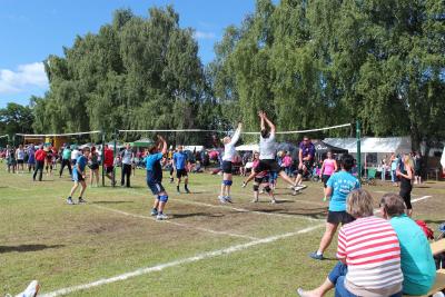 Foto des Albums: BJK 2015