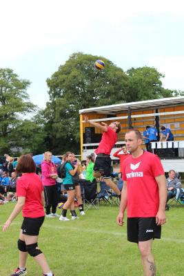 Foto des Albums: BJK 2015