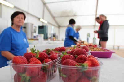 Foto des Albums: BJK 2015