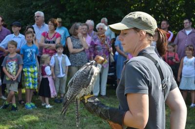 Foto des Albums: Volksfest 2015