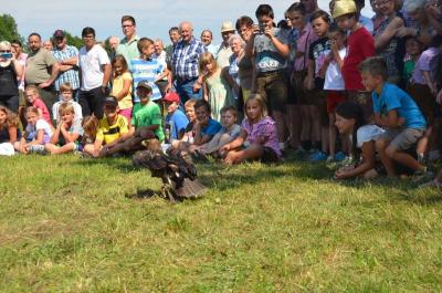 Foto des Albums: Volksfest 2015