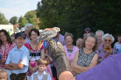 Foto des Albums: Volksfest 2015