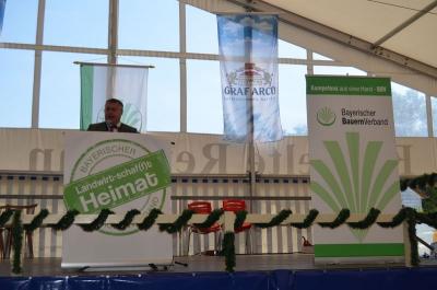 Foto des Albums: Volksfest 2015