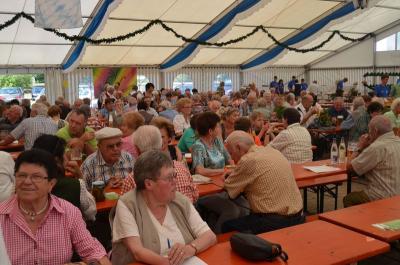 Foto des Albums: Volksfest 2015