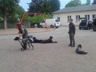 Foto des Albums: Projektwoche des Tieres 2015