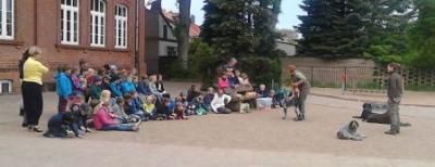 Foto des Albums: Projektwoche des Tieres 2015