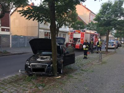 Foto des Albums: Einsatz 331/2015 - PKW am Baum