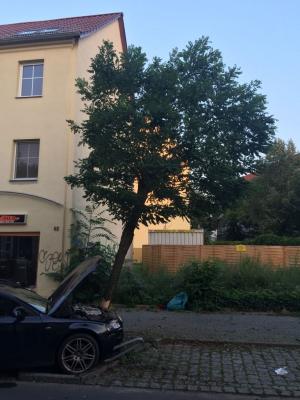 Foto des Albums: Einsatz 331/2015 - PKW am Baum