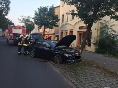 Foto des Albums: Einsatz 331/2015 - PKW am Baum