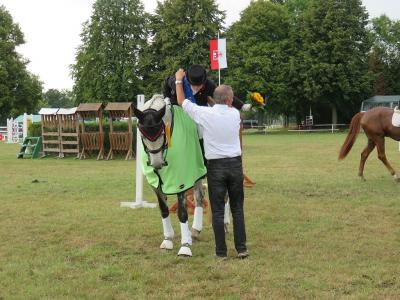 Foto des Albums: 3. Tag des 64. Reit- und Fahrturniers in Freyenstein (30.08.2015)