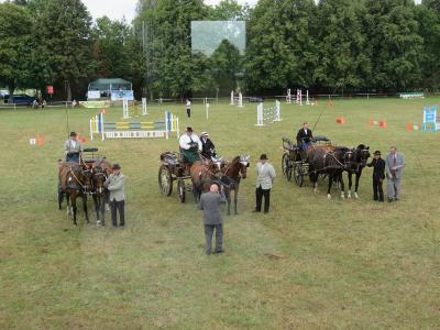 Foto des Albums: 3. Tag des 64. Reit- und Fahrturniers in Freyenstein (30.08.2015)