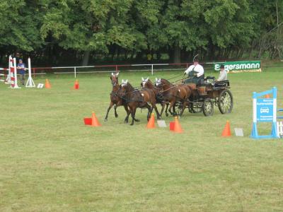 Foto des Albums: 3. Tag des 64. Reit- und Fahrturniers in Freyenstein (30.08.2015)