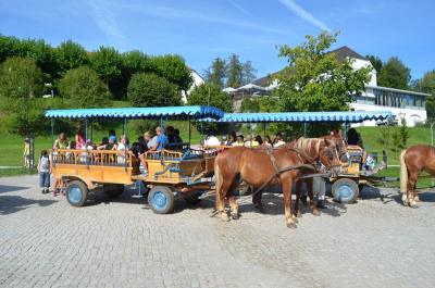 Foto des Albums: Ferienprogramm - Piratenfahrt