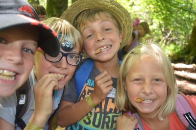 Foto des Albums: Ferienprogramm - Piratenfahrt