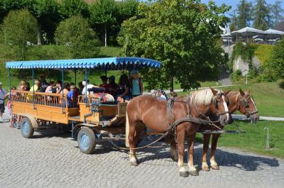 Foto des Albums: Ferienprogramm - Piratenfahrt