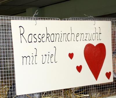 Foto des Albums: Kaninchenaustellung in Siersleben