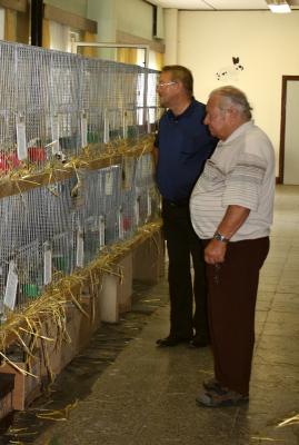 Foto des Albums: Kaninchenaustellung in Siersleben
