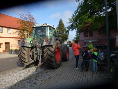 Foto des Albums: Schuljahresbeginn- Achtung Autofahrer