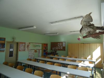 Foto des Albums: Räume im Schulgebäude (07. 09. 2015)