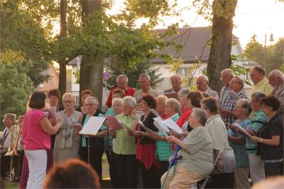 Foto des Albums: Wiesenfest (18. 07. 2015)