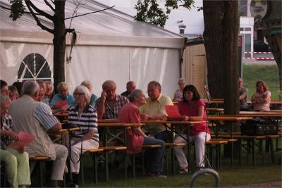 Foto des Albums: Wiesenfest (18. 07. 2015)