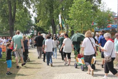 Foto des Albums: Wiesenfest (18. 07. 2015)