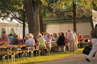 Foto des Albums: Wiesenfest (18. 07. 2015)