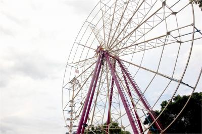 Foto des Albums: Wiesenfest (18. 07. 2015)