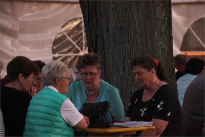 Foto des Albums: Wiesenfest (18. 07. 2015)