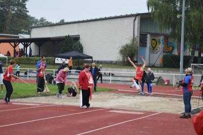 Foto des Albums: 22. Internationale Löwenspiele, 12.09./13.09.2015
