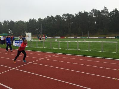 Foto des Albums: 22. Internationale Löwenspiele, 12.09./13.09.2015