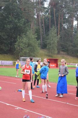Foto des Albums: 22. Internationale Löwenspiele, 12.09./13.09.2015