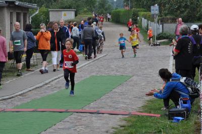 Foto des Albums: Schorfheidelauf, 13.09.2015