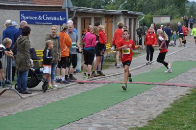 Foto des Albums: Schorfheidelauf, 13.09.2015