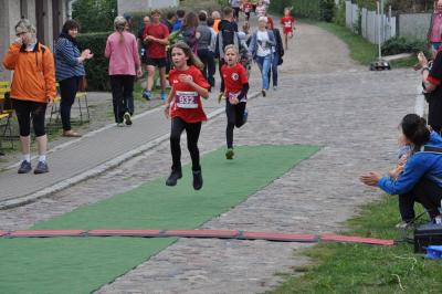 Foto des Albums: Schorfheidelauf, 13.09.2015