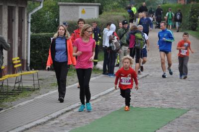 Foto des Albums: Schorfheidelauf, 13.09.2015