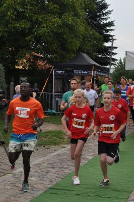 Foto des Albums: Schorfheidelauf, 13.09.2015