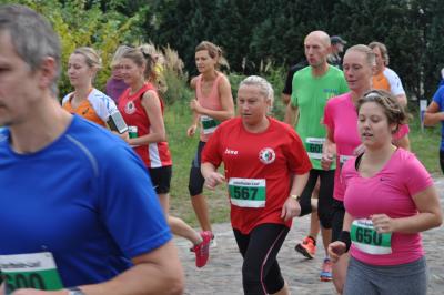 Foto des Albums: Schorfheidelauf, 13.09.2015