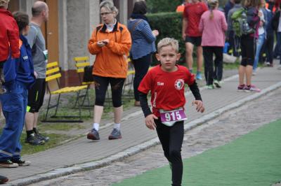 Foto des Albums: Schorfheidelauf, 13.09.2015