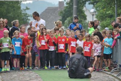 Foto des Albums: Schorfheidelauf, 13.09.2015